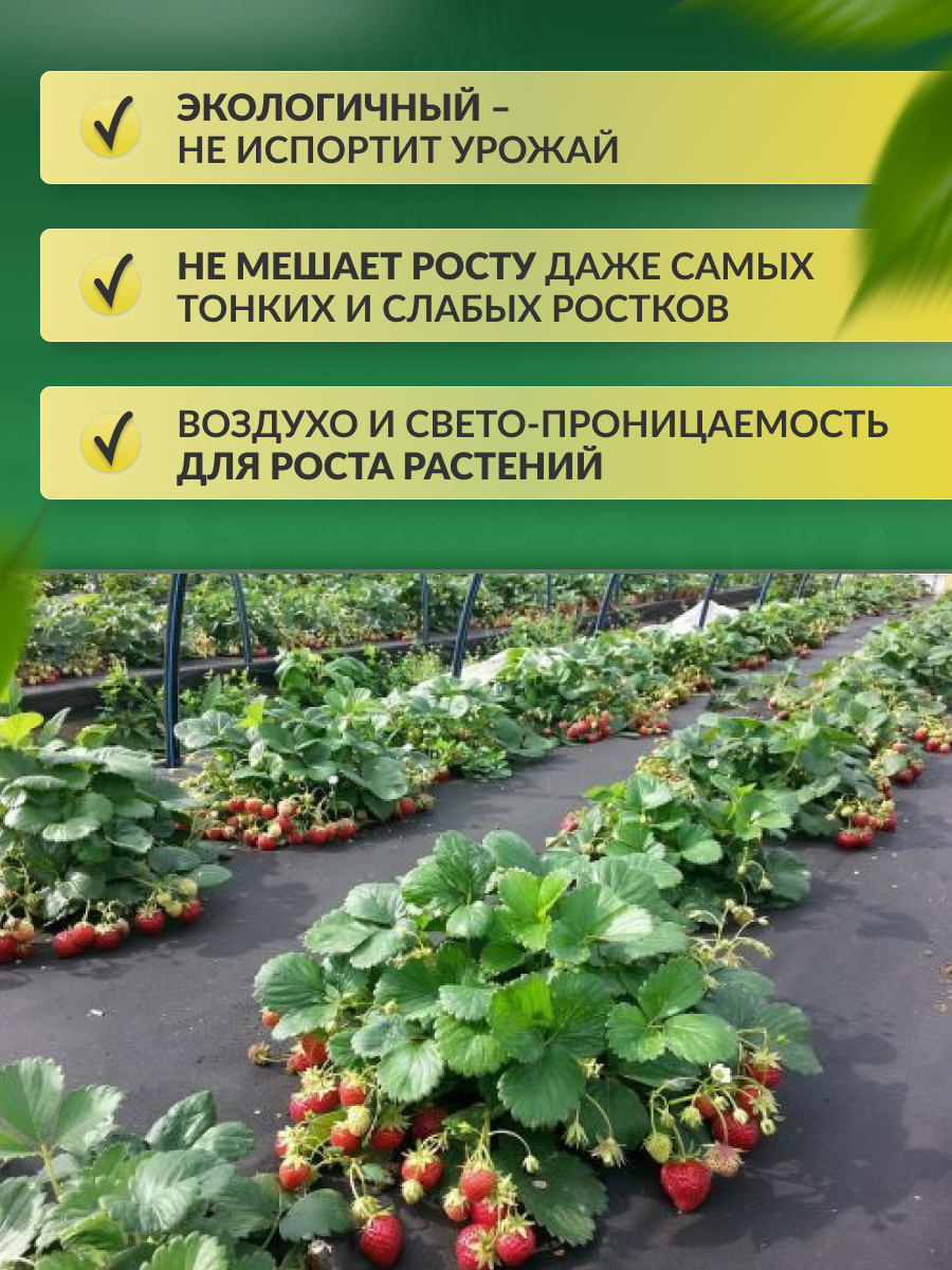 Укрывной материал Спанбонд СУФ в отрезке черный 60 г/м2, 3.2 х 10 м