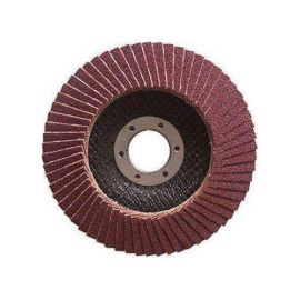 Диск лепестковый торцевой абразивный Эконом, D 125 мм, Р36, СТУ-243