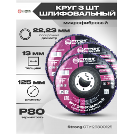 Комплект: Круг шлифовальный, коралл фиолетовый, 125х22.23 мм (3 шт.)