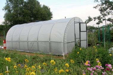 Армированная пленка для теплиц: основные характеристики