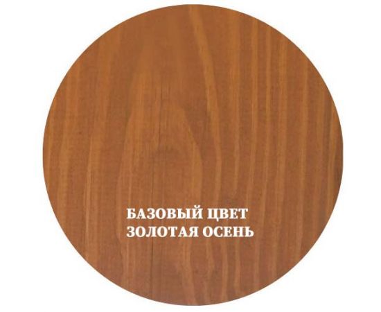 Pinotex Focus Aqua Золотая осень, антисептик для дерева, 5 л