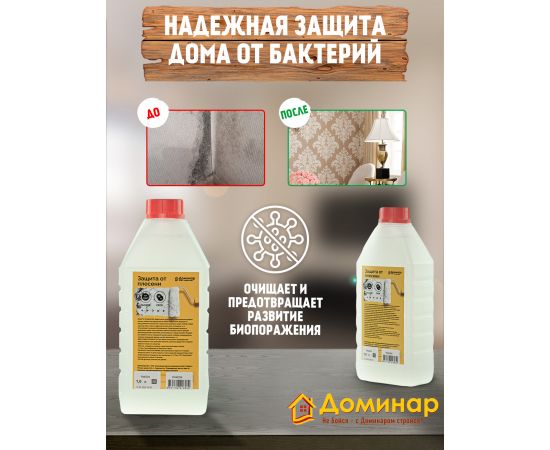 Защита от плесени БС 89 любых поверхностей Доминар, 1 л