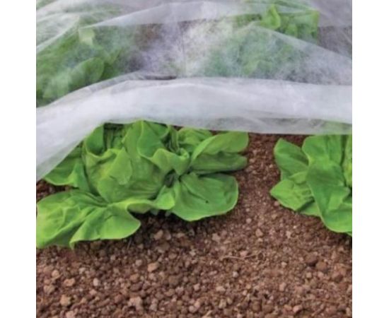 Укрывной материал Спанбонд СУФ в рулоне белый 60 г/м2, 4.2 x 150 м