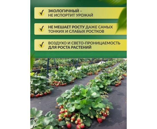 Укрывной материал Спанбонд СУФ в отрезке черный 100 г/м2, 3.2 х 5 м
