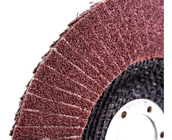 Диск лепестковый торцевой абразивный, D 125 мм, Р100, СТУ-203, в упаковке 1 шт. Диск лепестковый торцевой абразивный, D 125 мм, Р100, СТУ-203, в упаковке 1 шт.