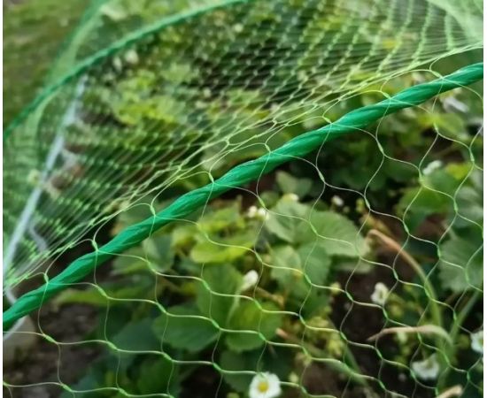 Сетка для защиты от птиц Интерлок, 2x5 м