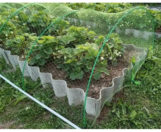 Сетка для защиты от птиц Интерлок, 2x5 м