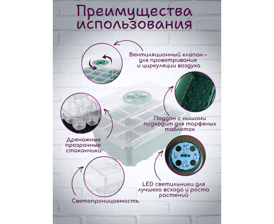 Минипарник с фитолампой для проращивания рассады