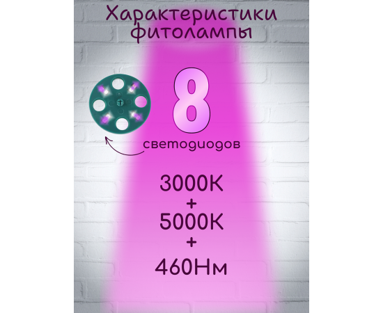 Минипарник с фитолампой для проращивания рассады