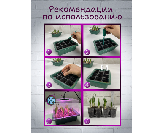 Минипарник с фитолампой для проращивания рассады